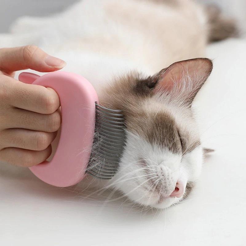 Heating Pad for kitten