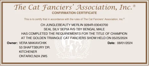 Merlin: The Cat Fancier's Association Champion 2024