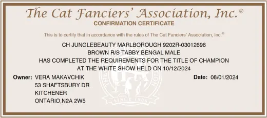 Marlborough: The Cat Fancier's Association Champion 2024